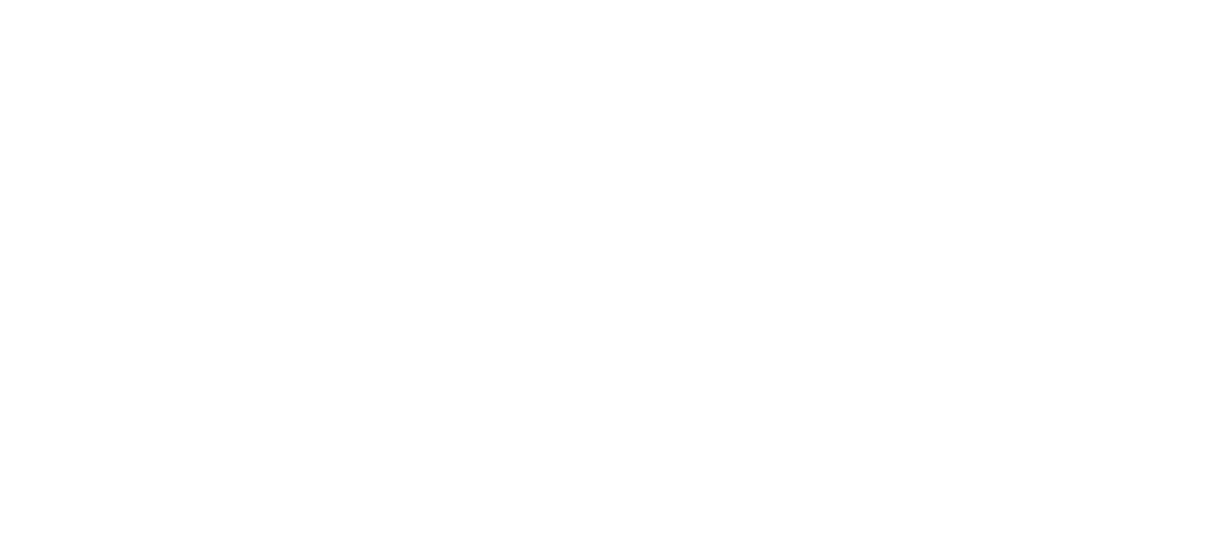 Logo-11Elements_white