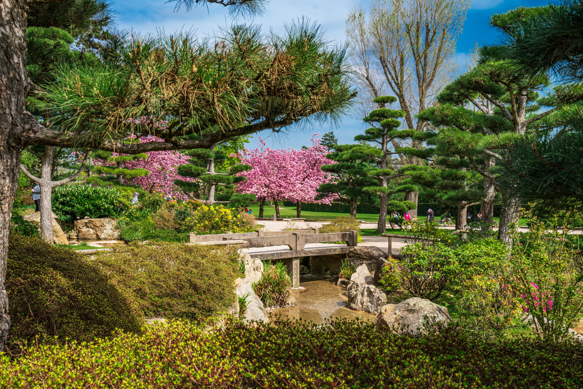 Idyllic landscape of Japanese garden. Traditional japanese stone garden for meditation