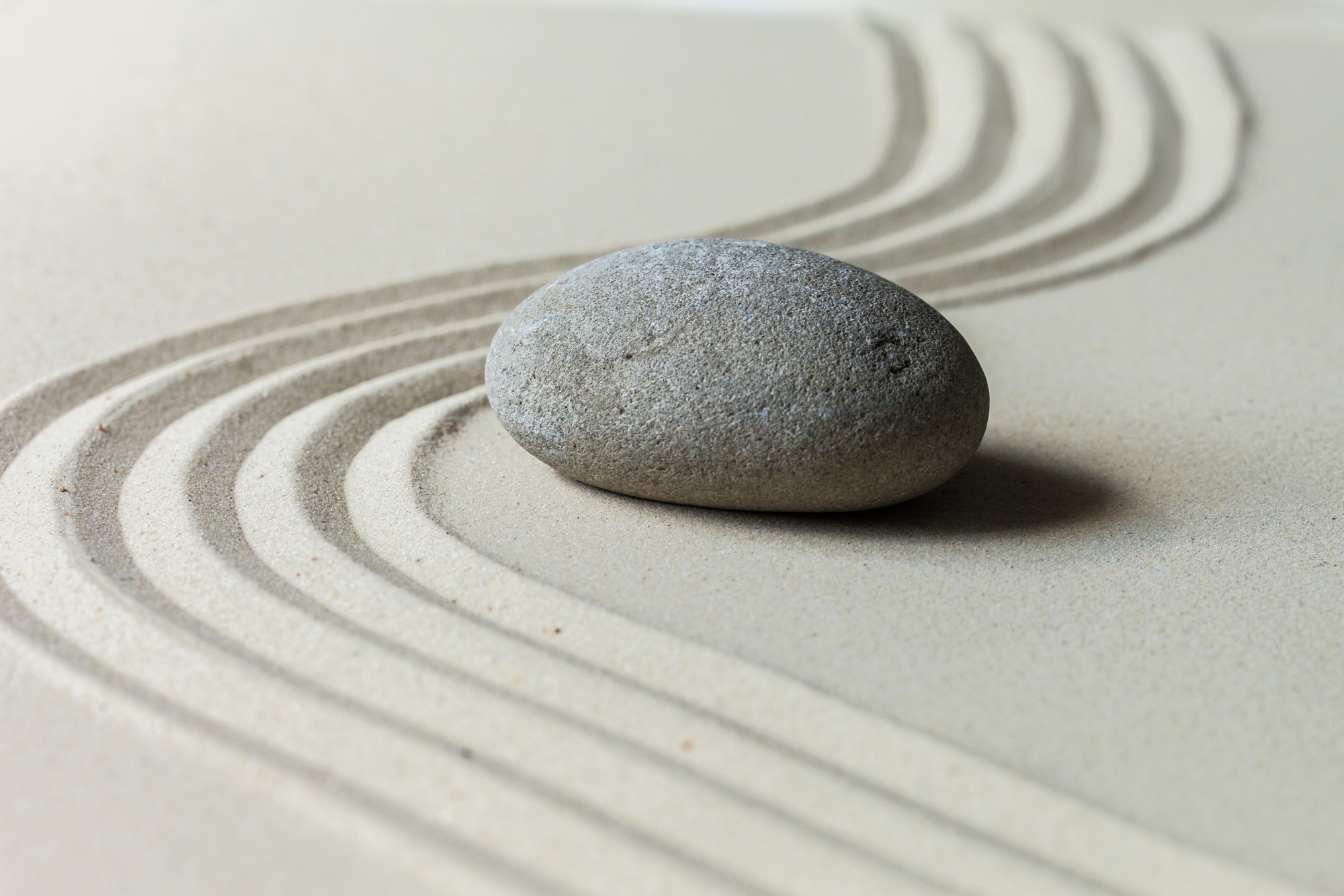 Zen stone garden