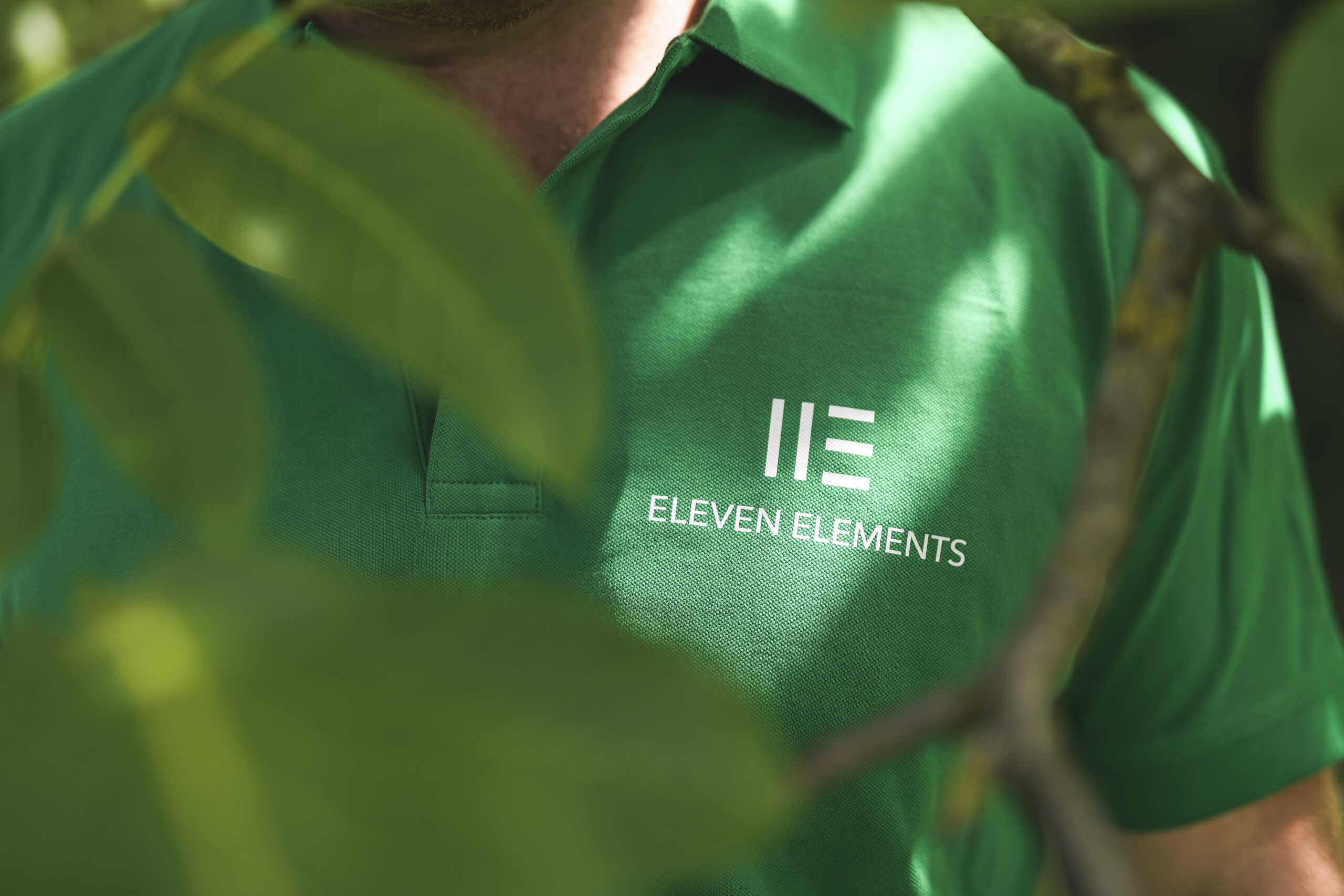 Eleven Elements Baum